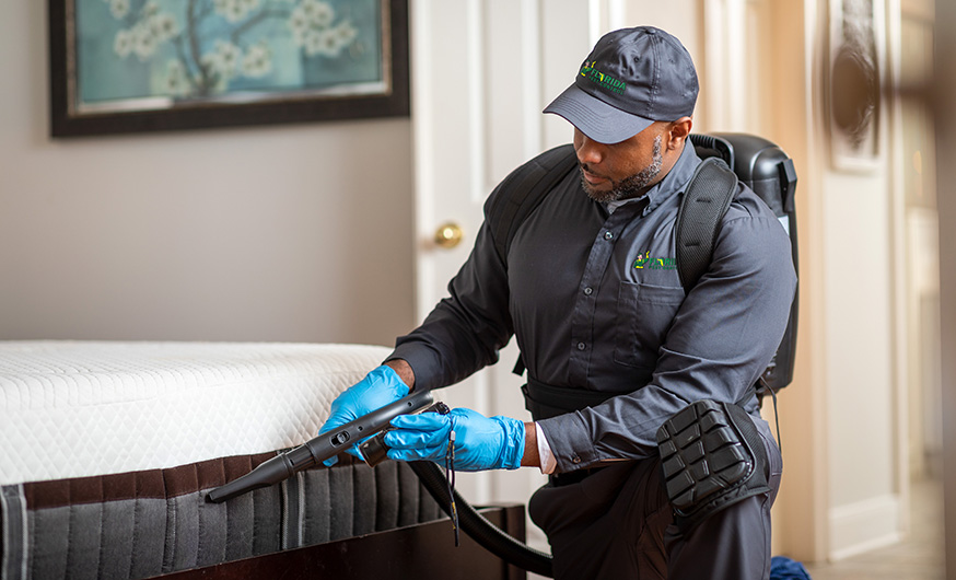Commercial Bed Bug Control Services by Florida Pest Control